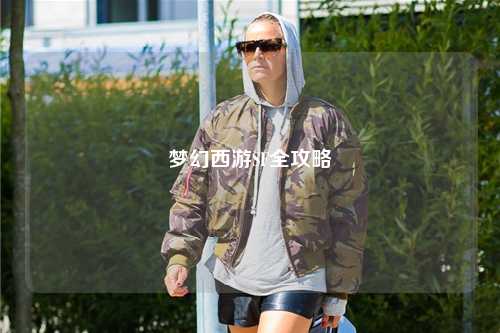 梦幻西游SF全攻略