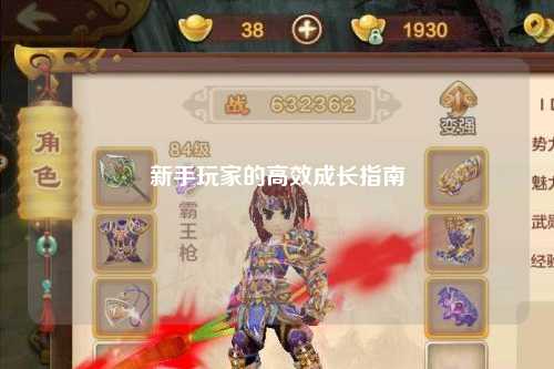 新手玩家的高效成长指南