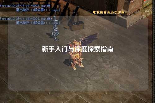 新手入门与深度探索指南