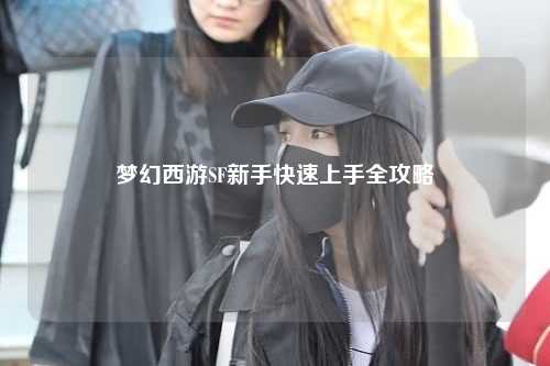 梦幻西游SF新手快速上手全攻略