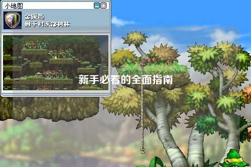 新手必看的全面指南