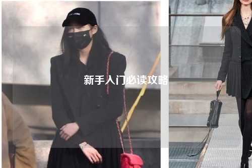 新手入门必读攻略