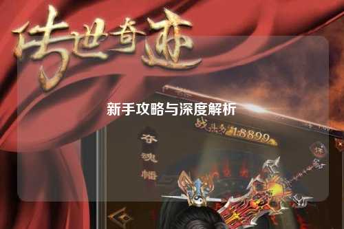 新手攻略与深度解析