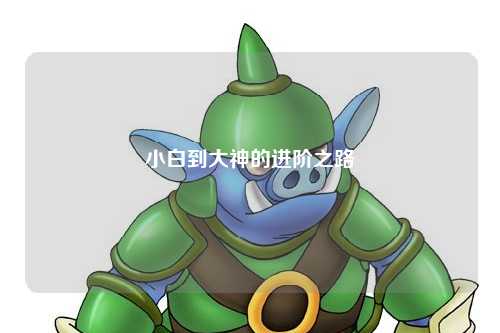 小白到大神的进阶之路