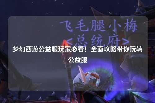 梦幻西游公益服玩家必看!全面攻略带你玩转公益服