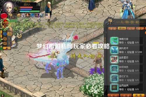 梦幻西游私网玩家必看攻略
