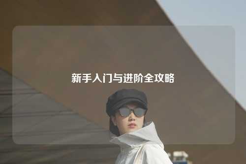 新手入门与进阶全攻略