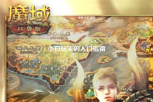 小白玩家的入门指南