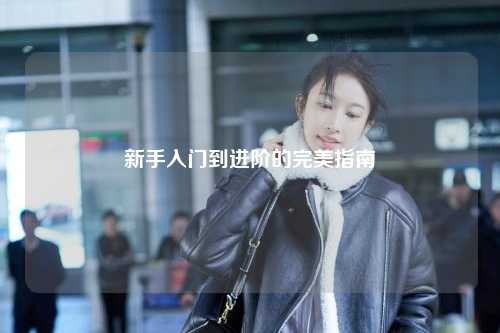 新手入门到进阶的完美指南