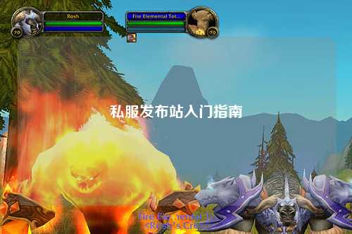 私服发布站入门指南