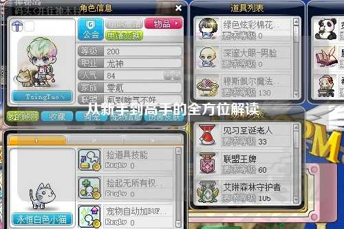 从新手到高手的全方位解读