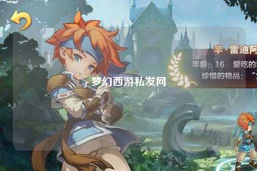 梦幻西游私发网